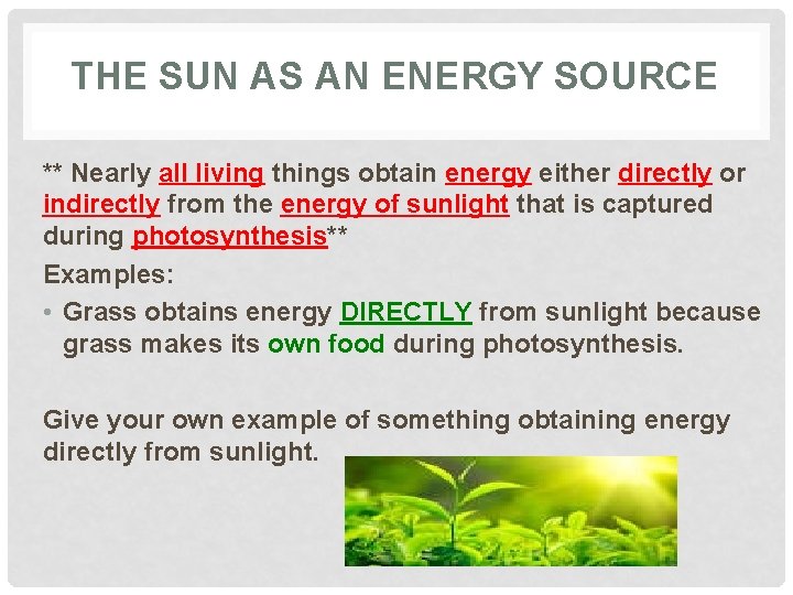 THE SUN AS AN ENERGY SOURCE ** Nearly all living things obtain energy either