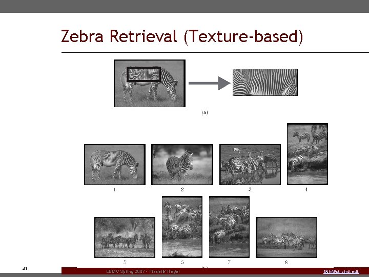 Zebra Retrieval (Texture-based) 31 LBMV Spring 2007 - Frederik Heger fwh@cs. cmu. edu 