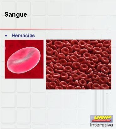 Sangue § Hemácias 