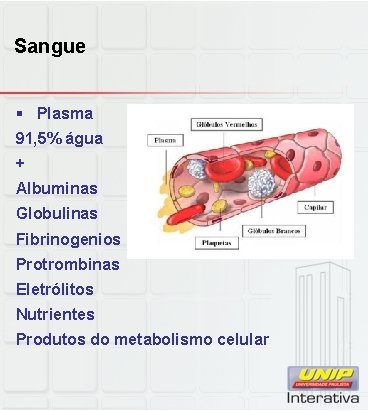 Sangue § Plasma 91, 5% água + Albuminas Globulinas Fibrinogenios Protrombinas Eletrólitos Nutrientes Produtos