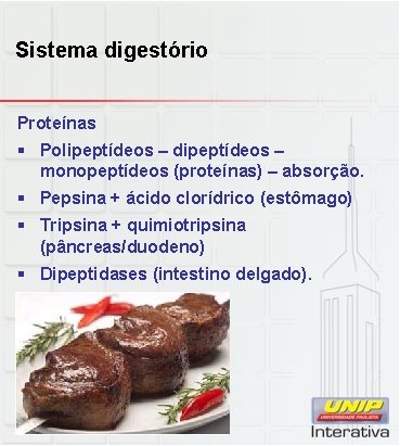 Sistema digestório Proteínas § Polipeptídeos – dipeptídeos – monopeptídeos (proteínas) – absorção. § Pepsina