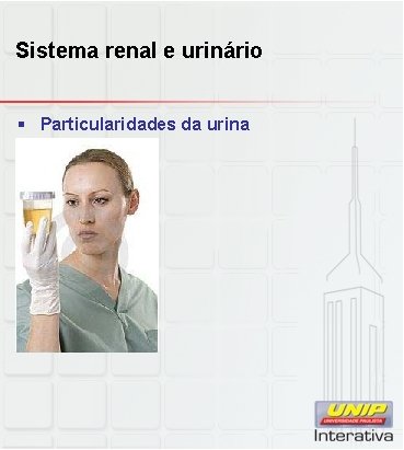 Sistema renal e urinário § Particularidades da urina 