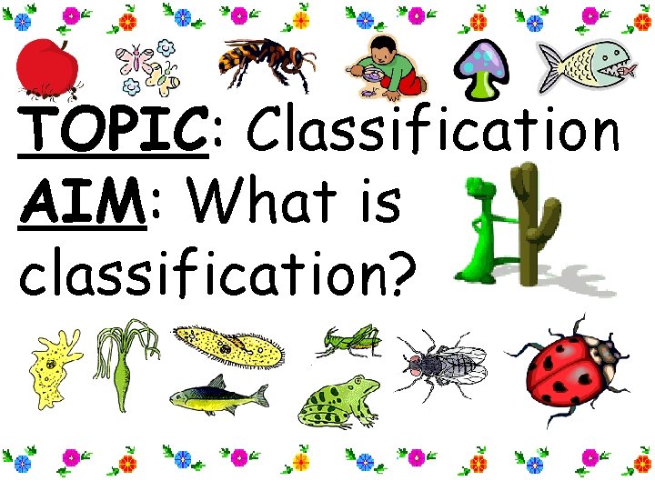 TOPIC: Classification AIM: What is classification? TOPIC: Classification AIM: What is classification?