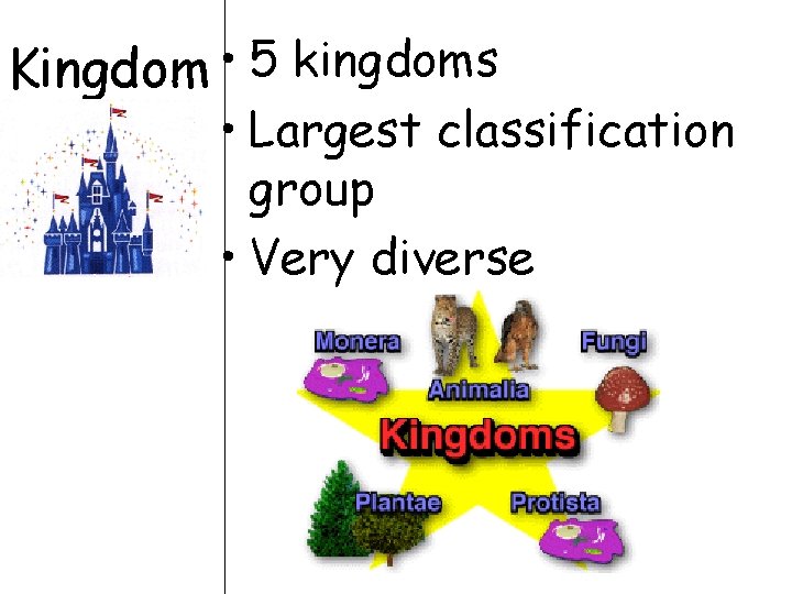 Kingdom • 5 kingdoms • Largest classification group • Very diverse Kingdom • 5 kingdoms • Largest classification group • Very diverse