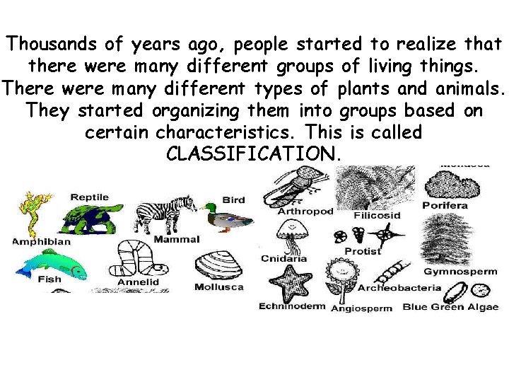 Thousands of years ago, people started to realize that there were many different groups Thousands of years ago, people started to realize that there were many different groups