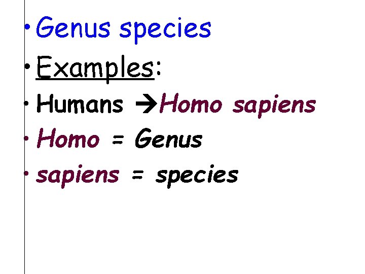 • Genus species • Examples: • Humans Homo sapiens • Homo = Genus • Genus species • Examples: • Humans Homo sapiens • Homo = Genus