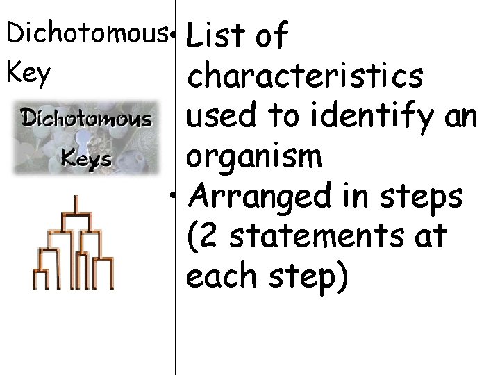 Dichotomous • List of Key characteristics used to identify an organism • Arranged in Dichotomous • List of Key characteristics used to identify an organism • Arranged in
