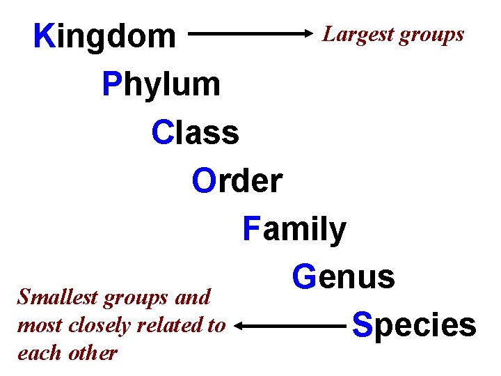 Largest groups Kingdom Phylum Class Order Family Genus Smallest groups and most closely related Largest groups Kingdom Phylum Class Order Family Genus Smallest groups and most closely related