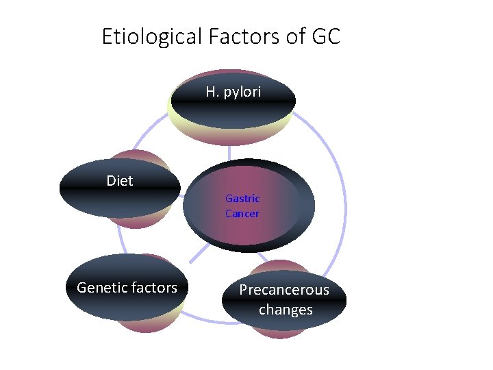 Etiological Factors of GC H. pylori Diet Gastric Cancer Genetic factors Precancerous changes 