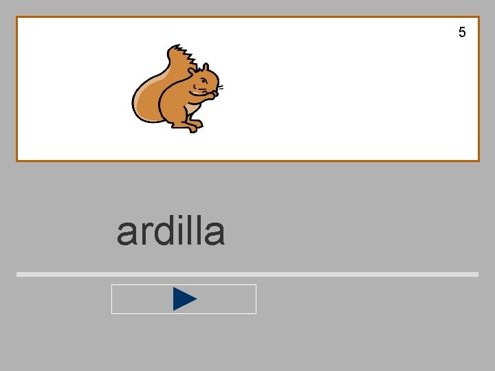 5 ardilla 