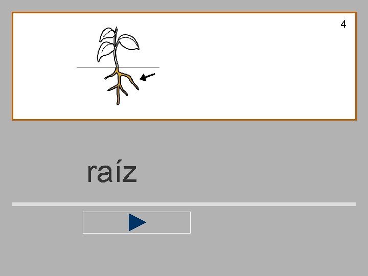 4 raíz 