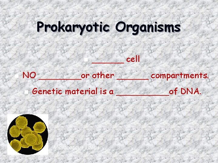 Prokaryotic Organisms n n ______ cell NO ____or other ______ compartments. n Genetic material