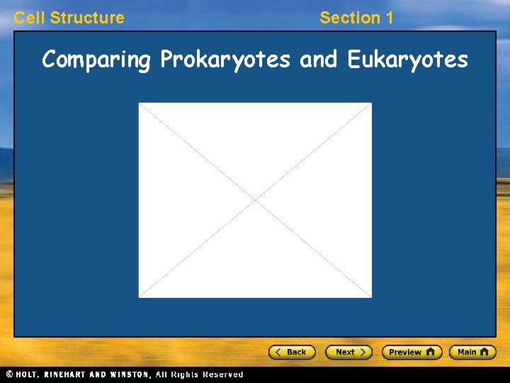 Cell Structure Section 1 Comparing Prokaryotes and Eukaryotes 
