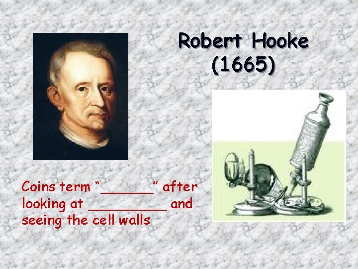 Robert Hooke (1665) Coins term “______” after looking at _____ and seeing the cell