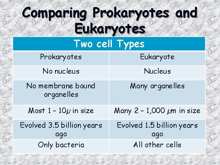 Comparing Prokaryotes and Eukaryotes Two cell Types Prokaryotes Eukaryote No nucleus No membrane bound