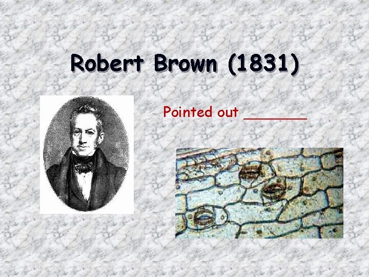 Robert Brown (1831) Pointed out _______ 