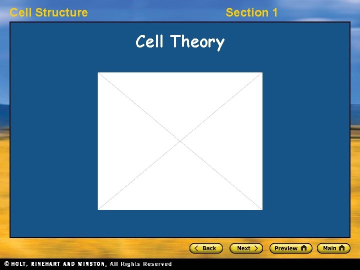 Cell Structure Section 1 Cell Theory 