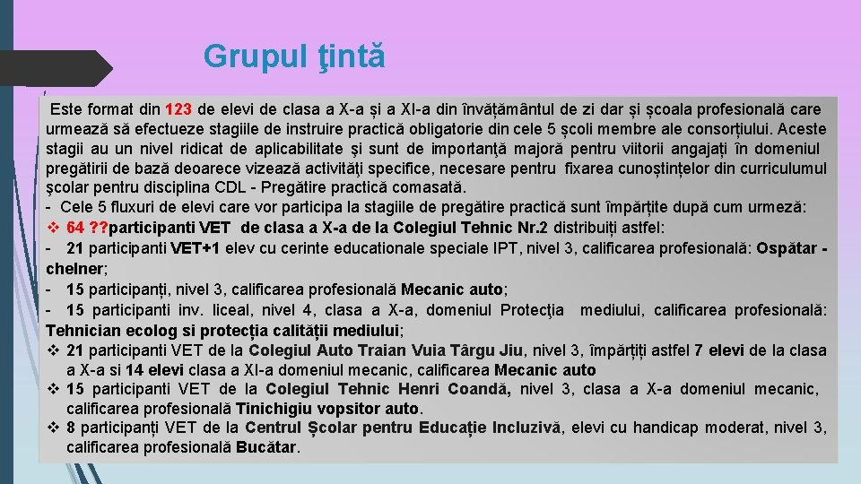 Grupul ţintă Este format din 123 de elevi de clasa a X-a și a