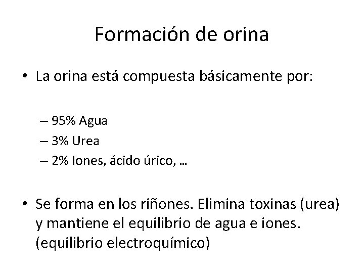 Formación de orina • La orina está compuesta básicamente por: – 95% Agua –