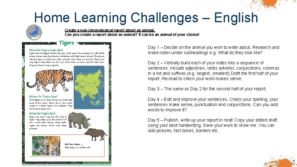 Home Learning Challenges – English Create a non-chronological report about an animal. Can you