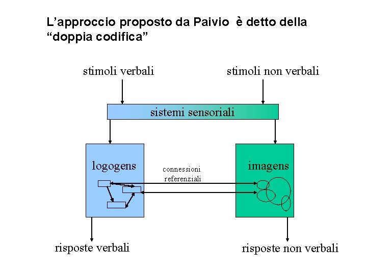 L’approccio proposto da Paivio è detto della “doppia codifica” stimoli verbali stimoli non verbali