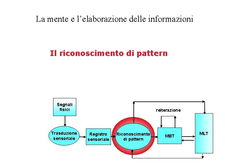 La mente e l’elaborazione delle informazioni Il riconoscimento di pattern Segnali fisici Trasduzione sensoriale