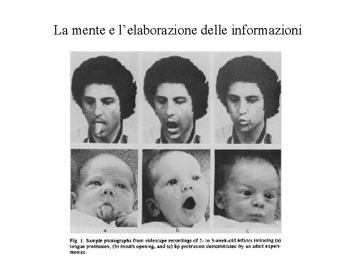 La mente e l’elaborazione delle informazioni 