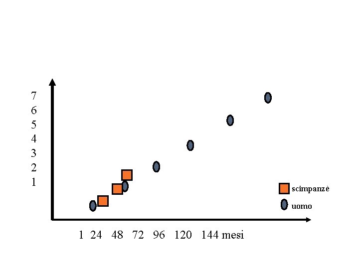 7 6 5 4 3 2 1 scimpanzè uomo 1 24 48 72 96