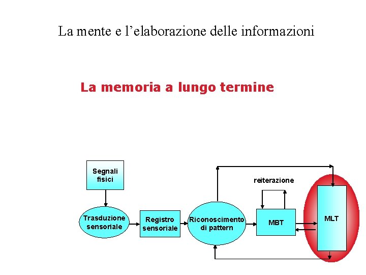 La mente e l’elaborazione delle informazioni La memoria a lungo termine Segnali fisici Trasduzione