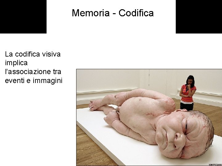 Memoria - Codifica La codifica visiva implica l’associazione tra eventi e immagini 