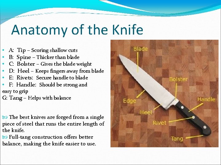 Anatomy of the Knife • • • A: Tip – Scoring shallow cuts B: