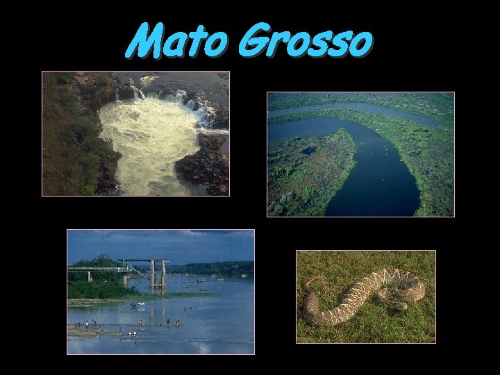 Mato Grosso 