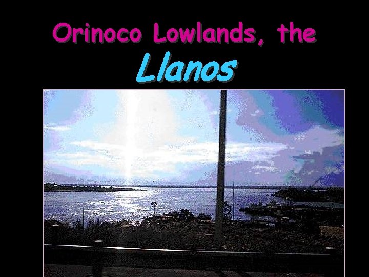 Orinoco Lowlands, the Llanos 