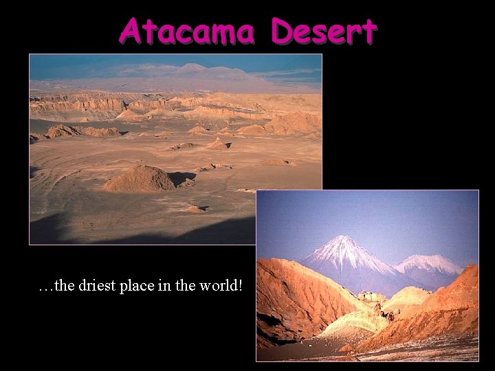 Atacama Desert …the driest place in the world! 