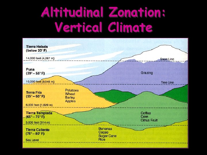 Altitudinal Zonation: Vertical Climate 