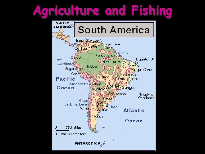 Agriculture and Fishing 