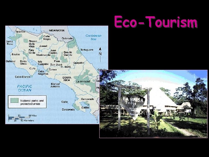 Eco-Tourism 