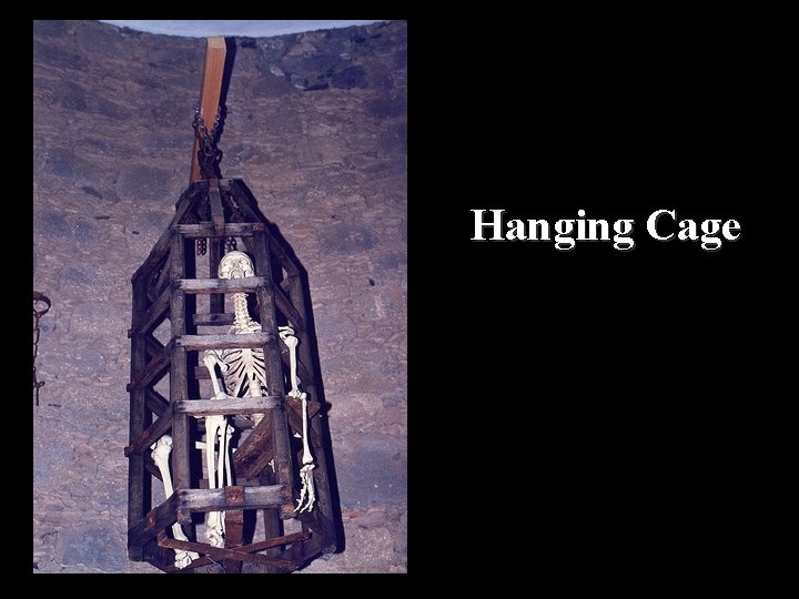 Hanging Cage 