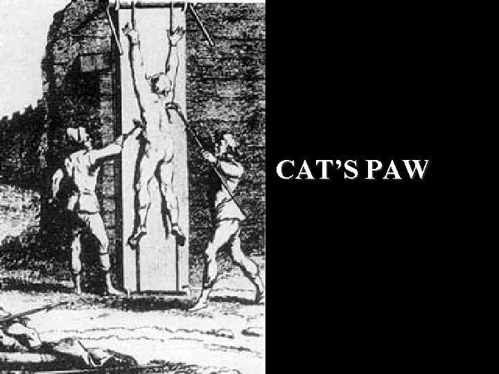 CAT’S PAW 