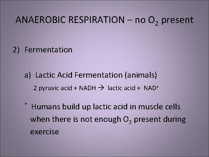 ANAEROBIC RESPIRATION – no O 2 present 2) Fermentation a) Lactic Acid Fermentation (animals)