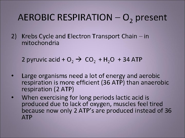 AEROBIC RESPIRATION – O 2 present 2) Krebs Cycle and Electron Transport Chain –