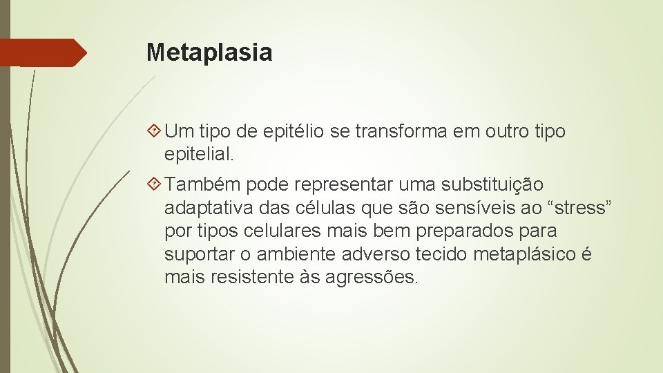 Metaplasia Um tipo de epitélio se transforma em outro tipo epitelial. Também pode representar