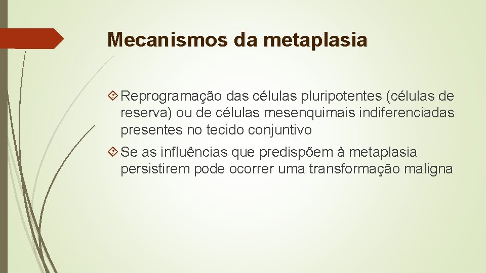 Mecanismos da metaplasia Reprogramação das células pluripotentes (células de reserva) ou de células mesenquimais