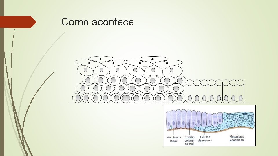 Como acontece 