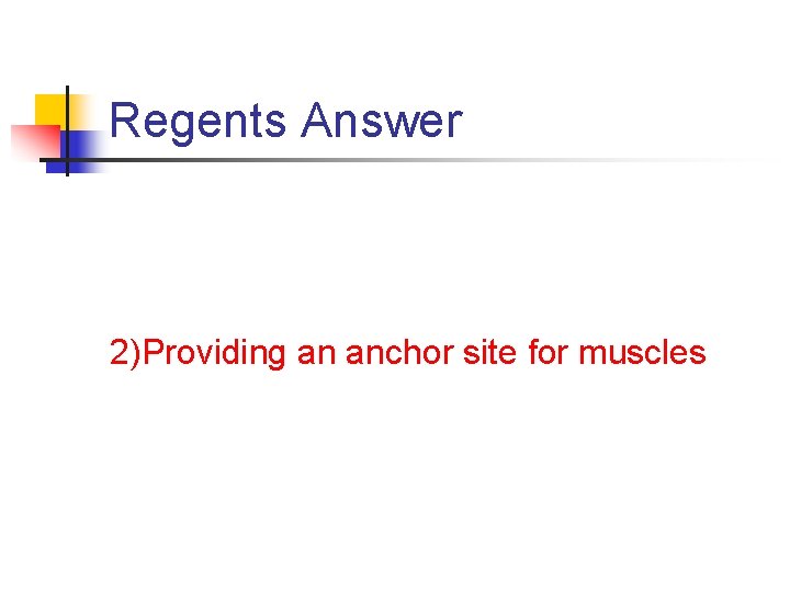 Regents Answer 2)Providing an anchor site for muscles Regents Answer 2)Providing an anchor site for muscles