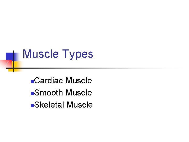 Muscle Types Cardiac Muscle n. Smooth Muscle n. Skeletal Muscle n Muscle Types Cardiac Muscle n. Smooth Muscle n. Skeletal Muscle n
