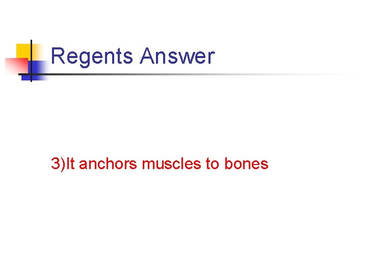 Regents Answer 3)It anchors muscles to bones Regents Answer 3)It anchors muscles to bones