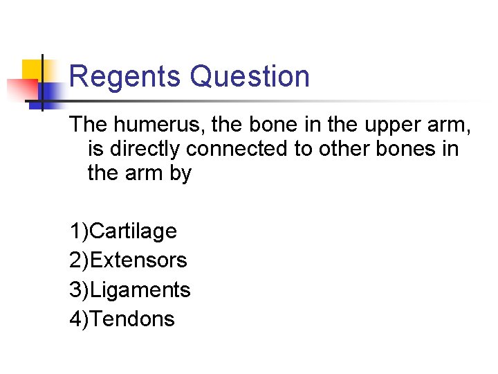 Regents Question The humerus, the bone in the upper arm, is directly connected to Regents Question The humerus, the bone in the upper arm, is directly connected to