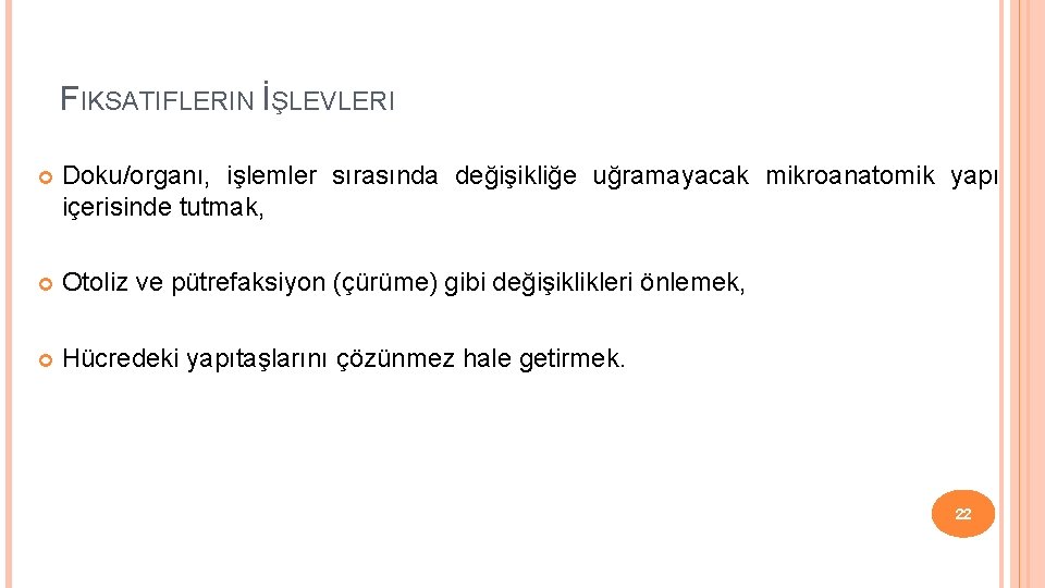 FIKSATIFLERIN İŞLEVLERI Doku/organı, işlemler sırasında değişikliğe uğramayacak mikroanatomik yapı içerisinde tutmak, Otoliz ve pütrefaksiyon