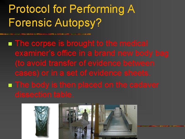 Protocol for Performing A Forensic Autopsy? n n The corpse is brought to the